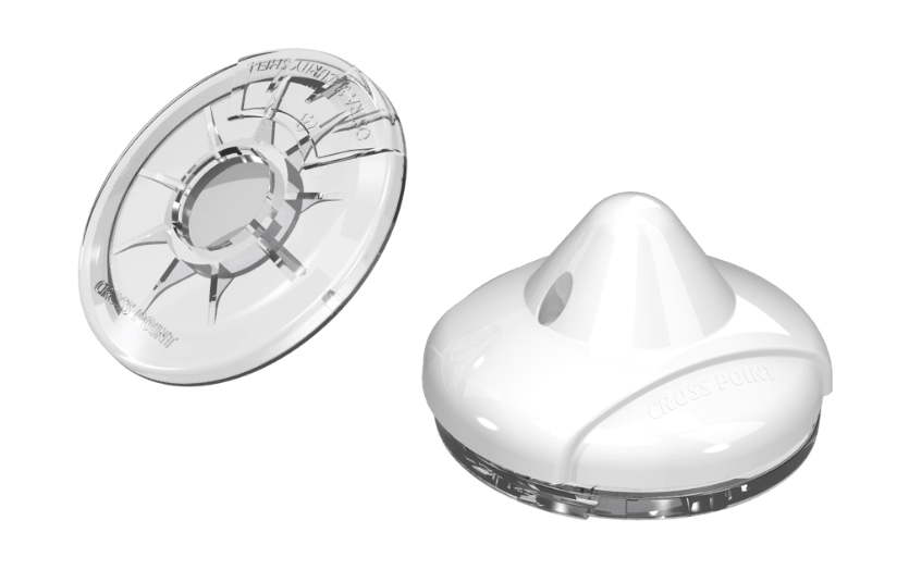 Cross Point Ostra & Shell D40