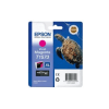 Epson T1571 Photo Black Ink Cartridge - (C13T157140)