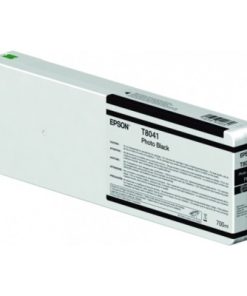 Epson T8041 Black Ink C13T804100