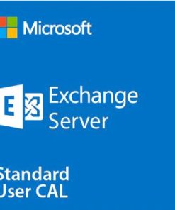 Exchange Server Standard 2019 User CAL DG7GMGF0F4MB-4