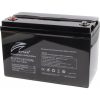 Lithium Iron Phosphate (LiFePO4) Battery LFP12.8V100AH