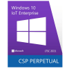 Microsoft Corp. CSP Windows 10 IoT Enterprise LTSC 2021 DG7GMGF0H3RD-2