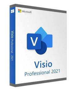 Microsoft Visio Pro 2021 Win All Lng ESD NR (D87-07606)