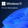 Microsoft Windows 11 Pro Upgrade DG7GMGF0D8H4-4