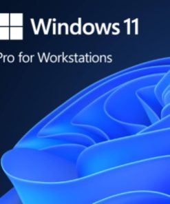 Microsoft Windows 11 Pro Upgrade DG7GMGF0D8H4-4