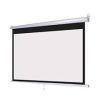 Projector Screen Wall Mount 50X50