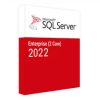 SQL Server 2022 Enterprise Core - 2 Core License Pack-DG7GMGF0M7XV-3-P
