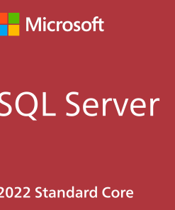 SQL Server 2022 Standard Core - 2 Core License Pack-DG7GMGF0M7XW-2-P