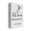 SQL Server Big Data Node Cores – DG7GMGF0FKZX-0003 1 Year Subscription