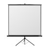 Tripod Projector Screen 240 by 240cm