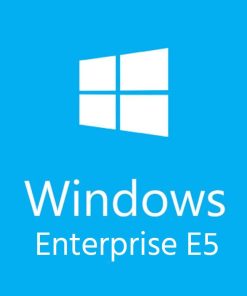 Windows 10/11 Enterprise E5 CFQ7TTC0LFNW-2