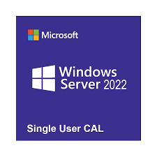 Windows Server 2022 RMS CAL - 1 User CAL - 1 year