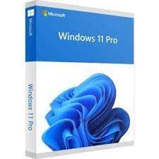 Microsoft® Windows 11 Pro 64bit - FQC-10528